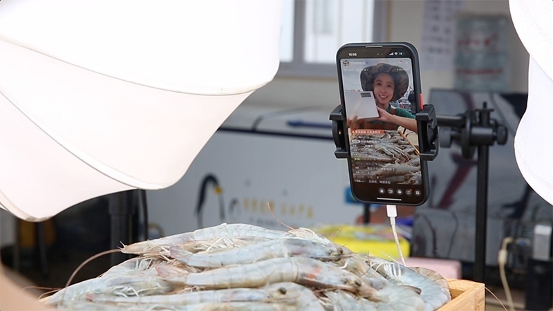 江蘇連云港，村民進(jìn)行直播銷售。范堯攝