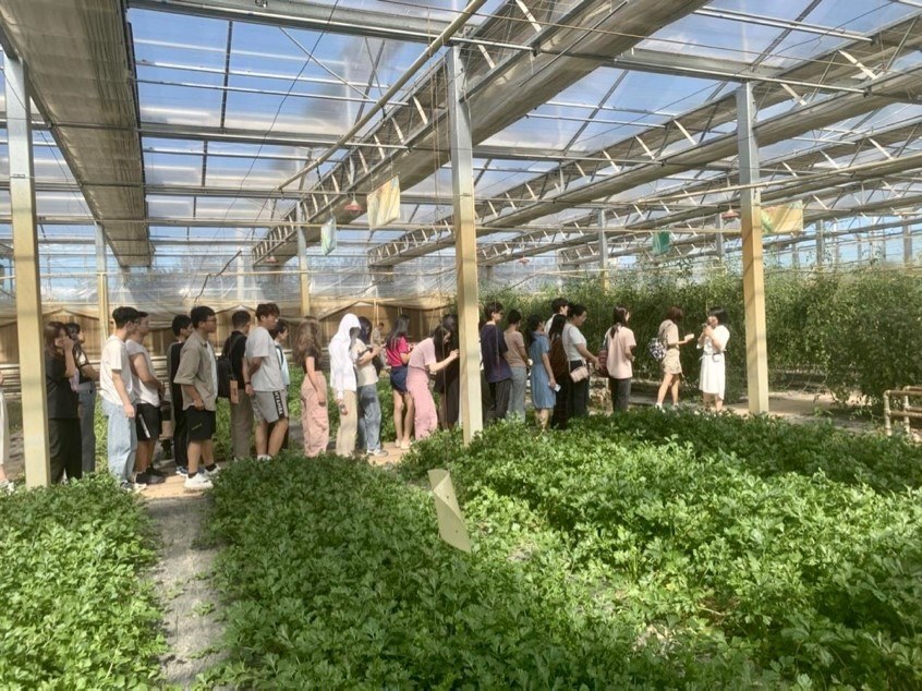 記者團參觀國信現(xiàn)代農(nóng)業(yè)基地 了解現(xiàn)代化溫室建設及其配套設施的設計生產(chǎn)理念 中國農(nóng)業(yè)大學勾琳萱 攝