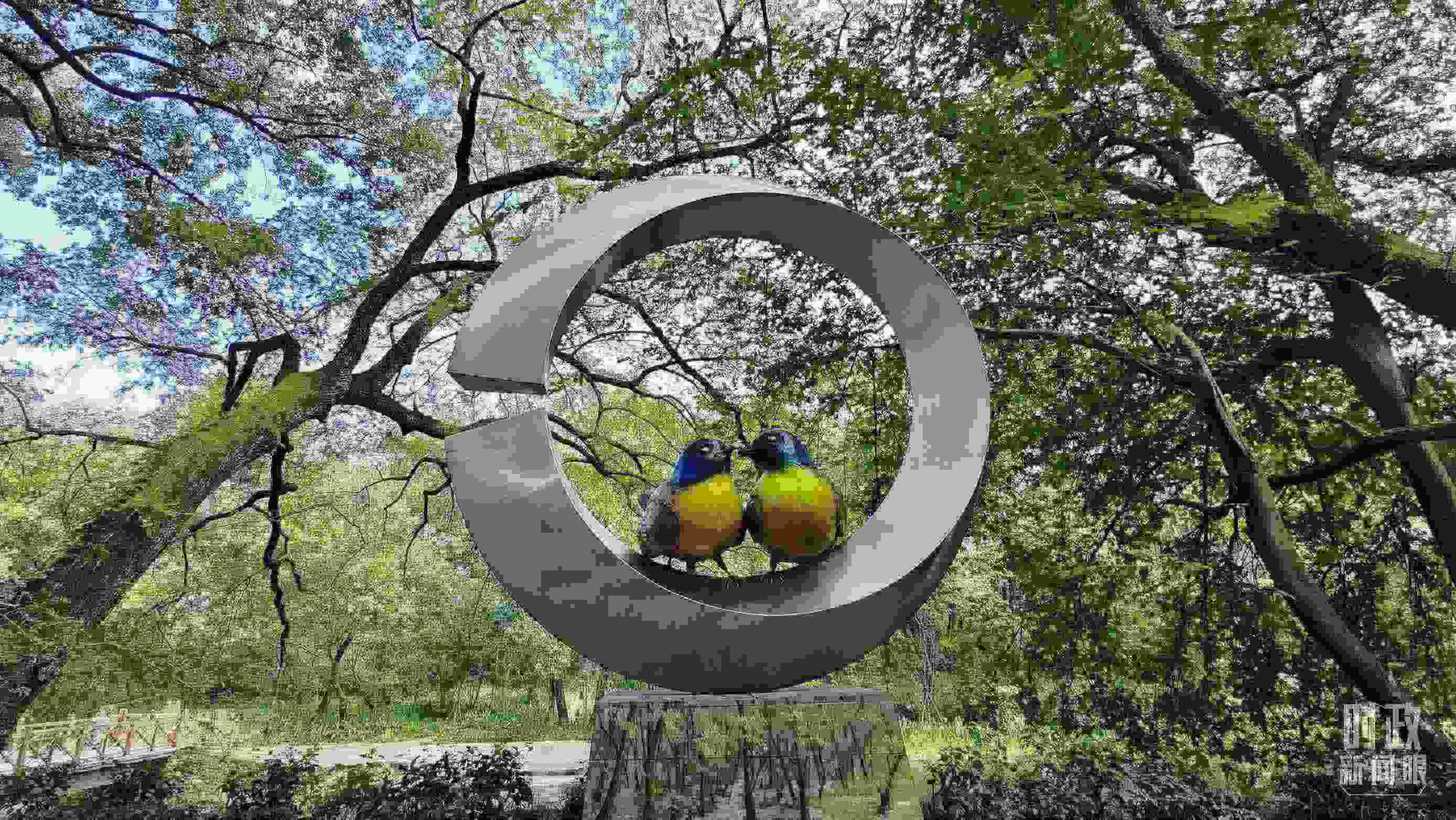 △石門(mén)村里的藍(lán)冠噪鹛雕像。（總臺(tái)央視記者許永松拍攝）