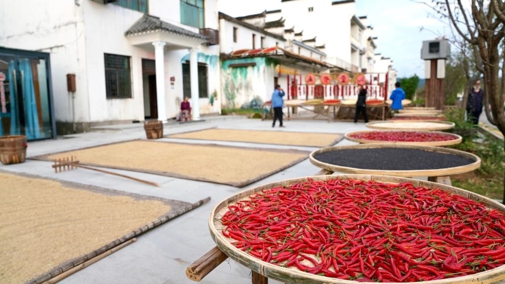 近日拍攝的江西省上饒市婺源縣秋口鎮(zhèn)王村石門自然村。新華社記者 胡晨歡 攝