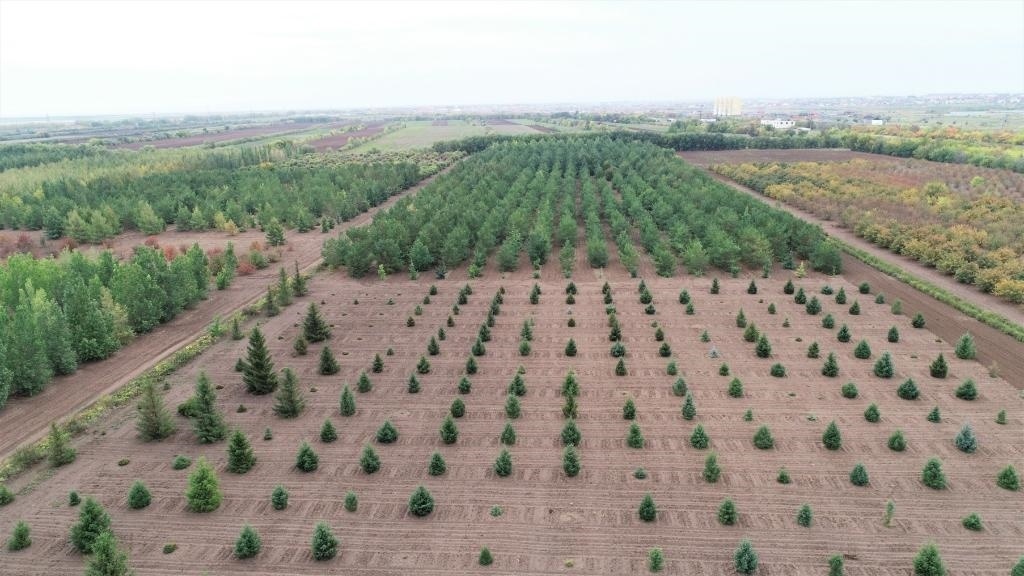 這是2023年9月11日在哈薩克斯坦首都阿斯塔納拍攝的一處植物種質(zhì)資源苗圃（無(wú)人機(jī)照片）。新華社發(fā)（法爾哈特·圖克諾夫 攝）