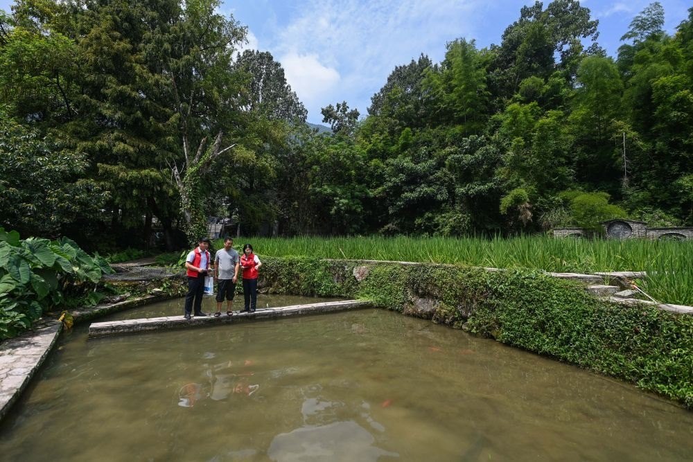 2023年8月17日，浙江省麗水市青田縣方山鄉(xiāng)田魚(yú)養(yǎng)殖戶吳勇強(qiáng)（中）在接受青田農(nóng)商銀行“小蜻蜓”服務(wù)隊(duì)志愿者提供的“惠民易貸”上門服務(wù)。近年來(lái)，青田縣金融發(fā)展中心聯(lián)合各個(gè)金融機(jī)構(gòu)優(yōu)化配套鄉(xiāng)村振興金融服務(wù)，推出“惠民易貸”“農(nóng)家樂(lè)貸”等金融產(chǎn)品，重點(diǎn)支持涉農(nóng)龍頭企業(yè)及特色種養(yǎng)殖產(chǎn)業(yè)。新華社記者 徐昱 攝