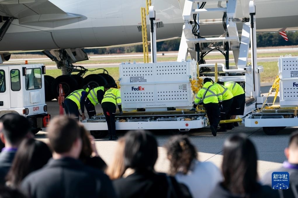 11月8日，在美國弗吉尼亞州的華盛頓杜勒斯國際機場，裝有大熊貓的特制“旅行包廂”準備運上專機。新華社記者劉杰攝