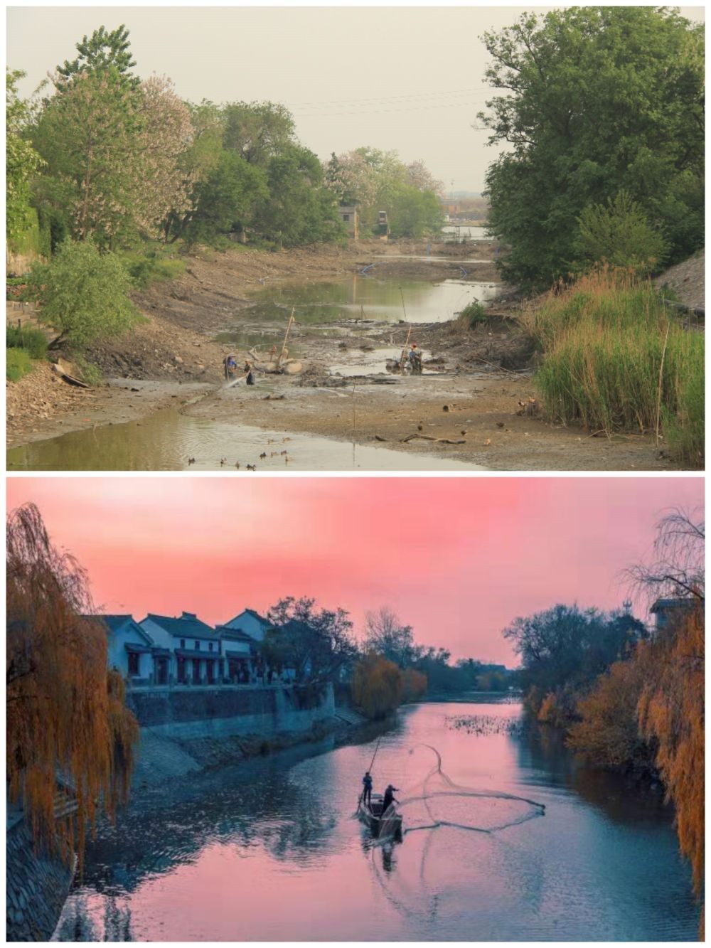 江蘇省揚州市江都區(qū)明清運河故道整治前后。（上圖：2012年；下圖：2020年）（孫友定 攝）