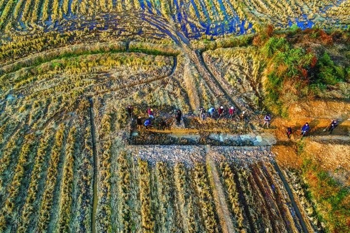 良渚遺址考古發(fā)掘現(xiàn)場。