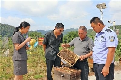  圖②：蒙山法院黃村法庭法官深入蜂蜜合作社，實(shí)地了解蜂農(nóng)需求。