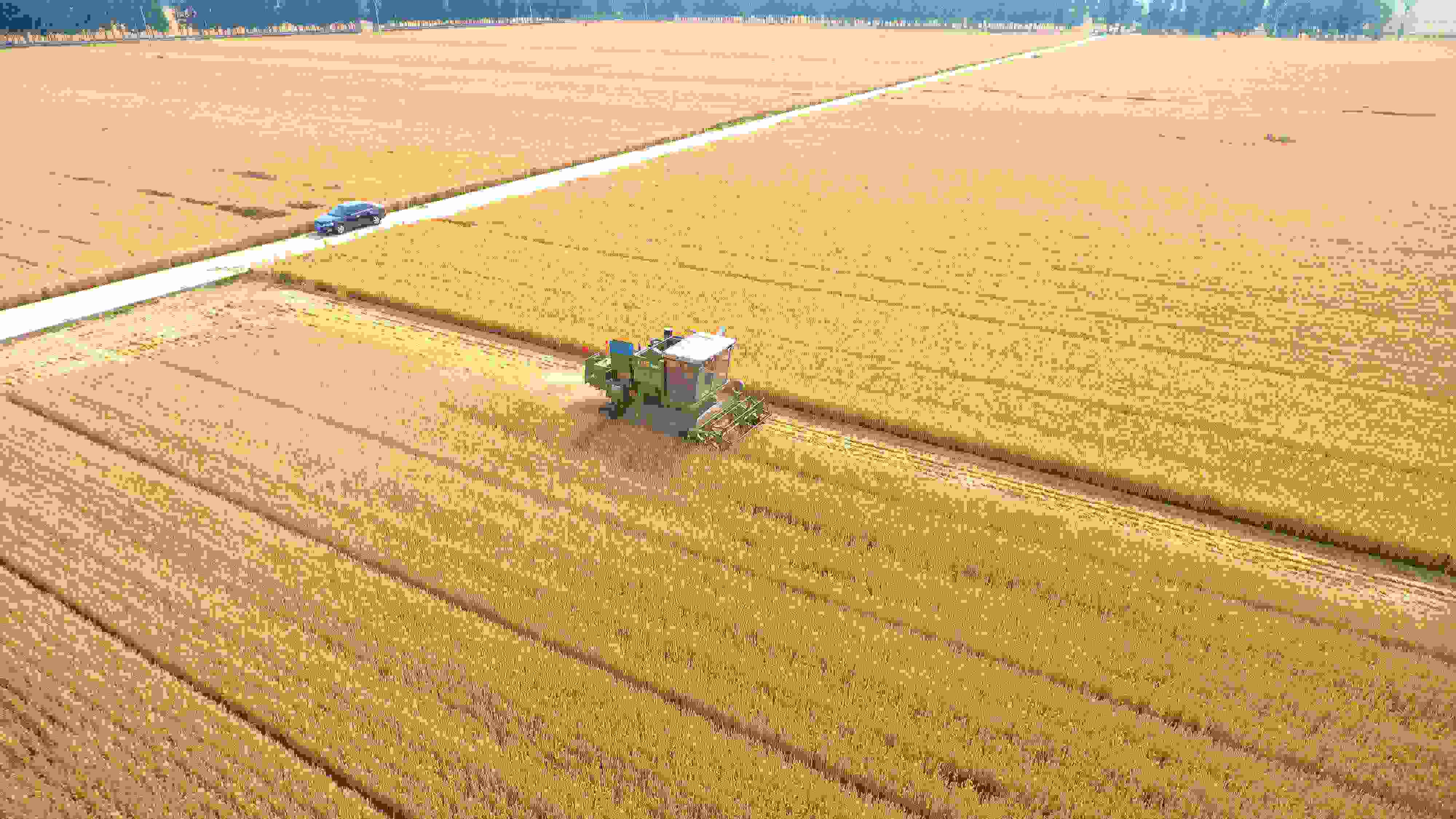 △ 2023年6月5日，山東聊城茌平區(qū)賈寨鎮(zhèn)王藥包村，收割機(jī)在田間進(jìn)行小麥?zhǔn)崭钭鳂I(yè)。