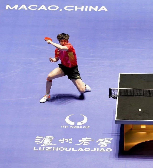 王楚欽在比賽中。賽事方供圖