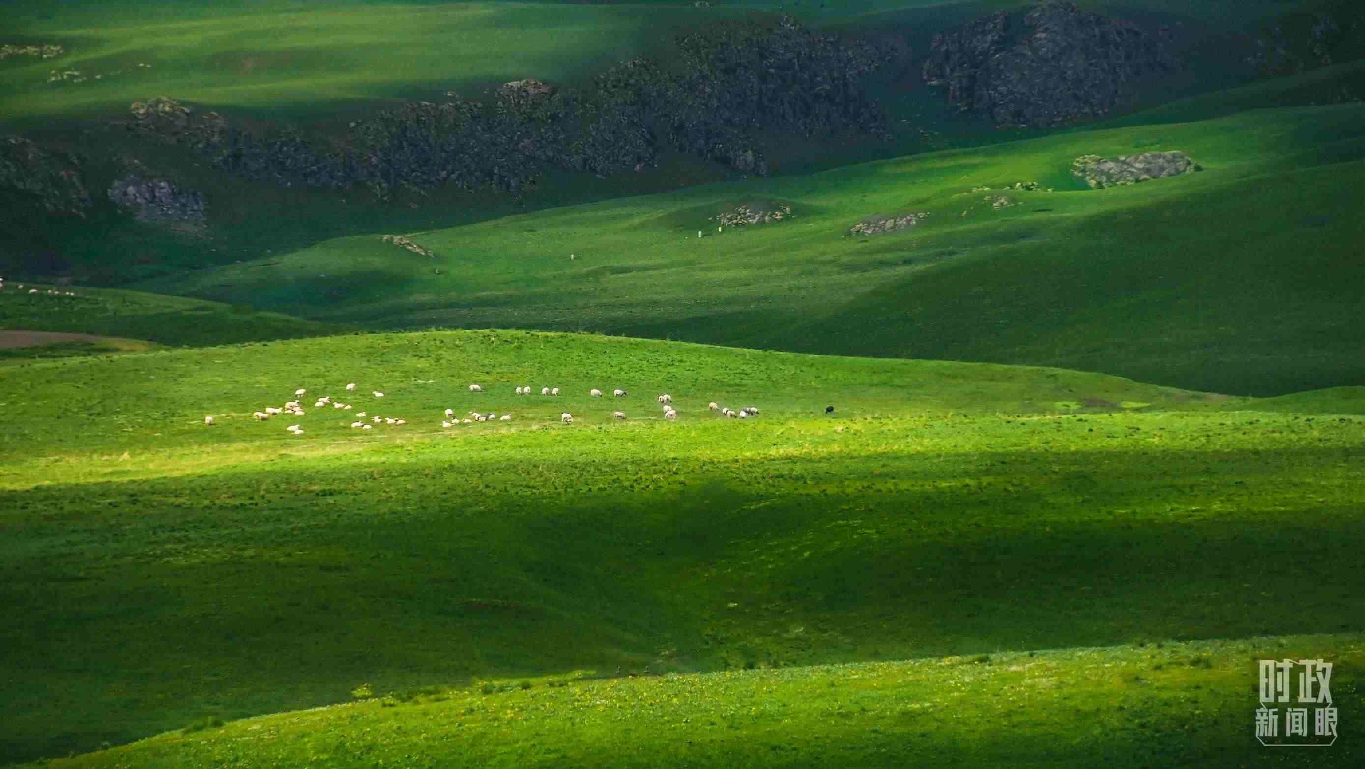 △祁連山草原光影。（圖/視覺中國）