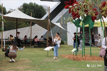 坎波·馬特活動現(xiàn)場。埃內斯托·多明戈斯攝