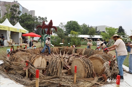 坎波·馬特活動現(xiàn)場。埃內斯托·多明戈斯攝