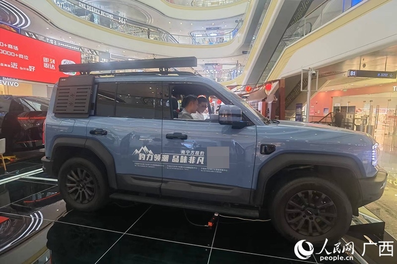 消費(fèi)者在商場(chǎng)選購(gòu)汽車(chē)。人民網(wǎng)記者 陳燕攝