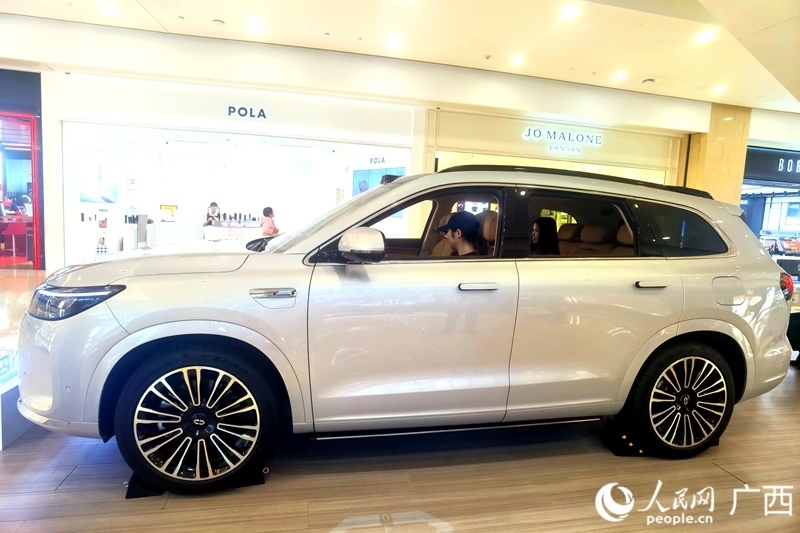 消費(fèi)者在試駕汽車(chē)。人民網(wǎng)記者 陳燕攝