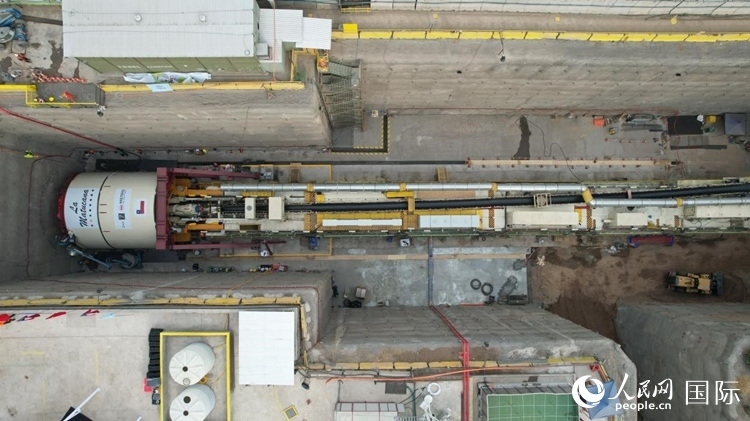 質(zhì)構(gòu)機全景。陳露明攝