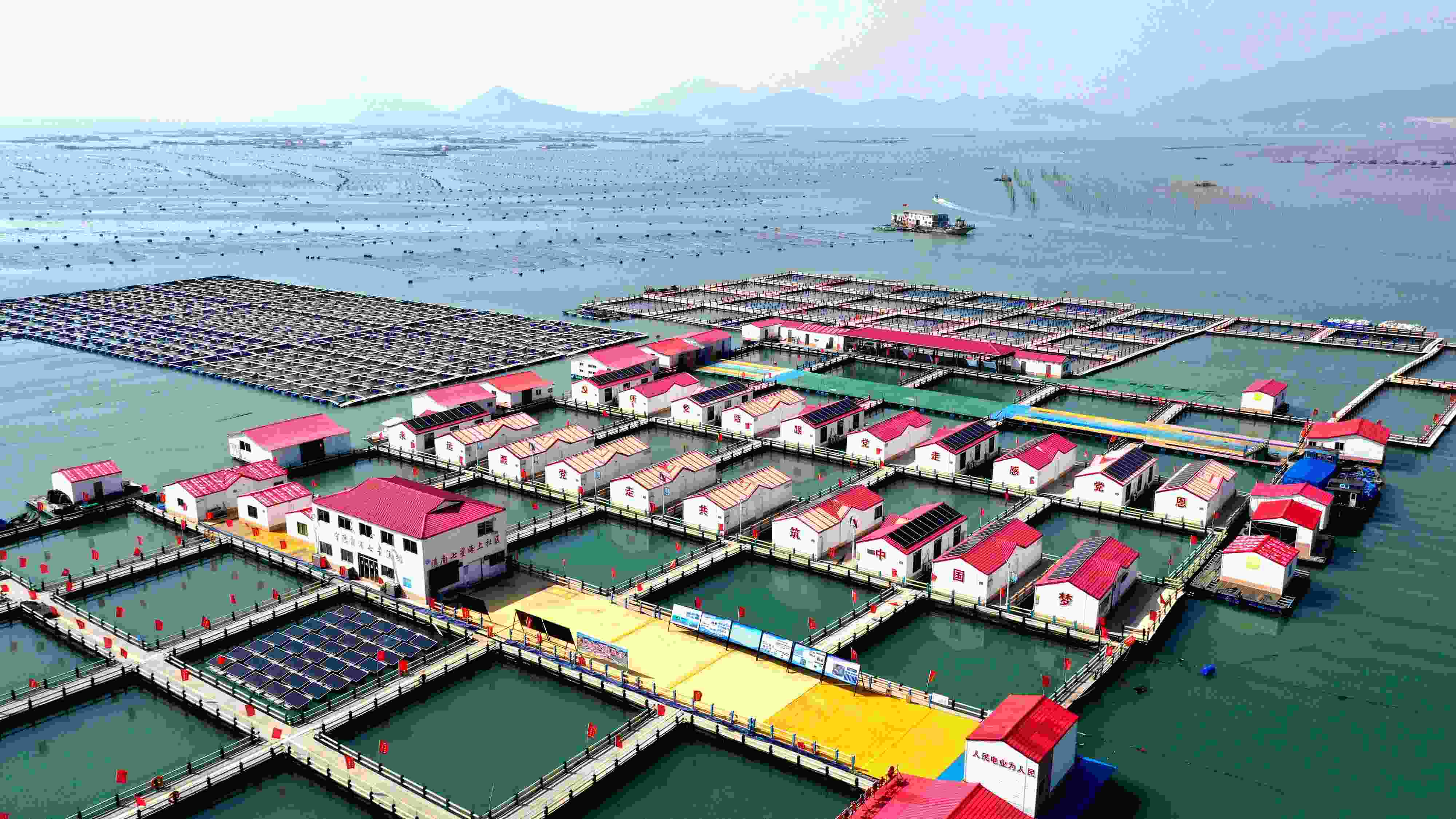 2024年3月20日，福建省寧德市，霞浦縣溪南鎮(zhèn)七星村漁排養(yǎng)殖示范區(qū)，漁民駕駛養(yǎng)殖船進(jìn)行海參養(yǎng)殖作業(yè)。