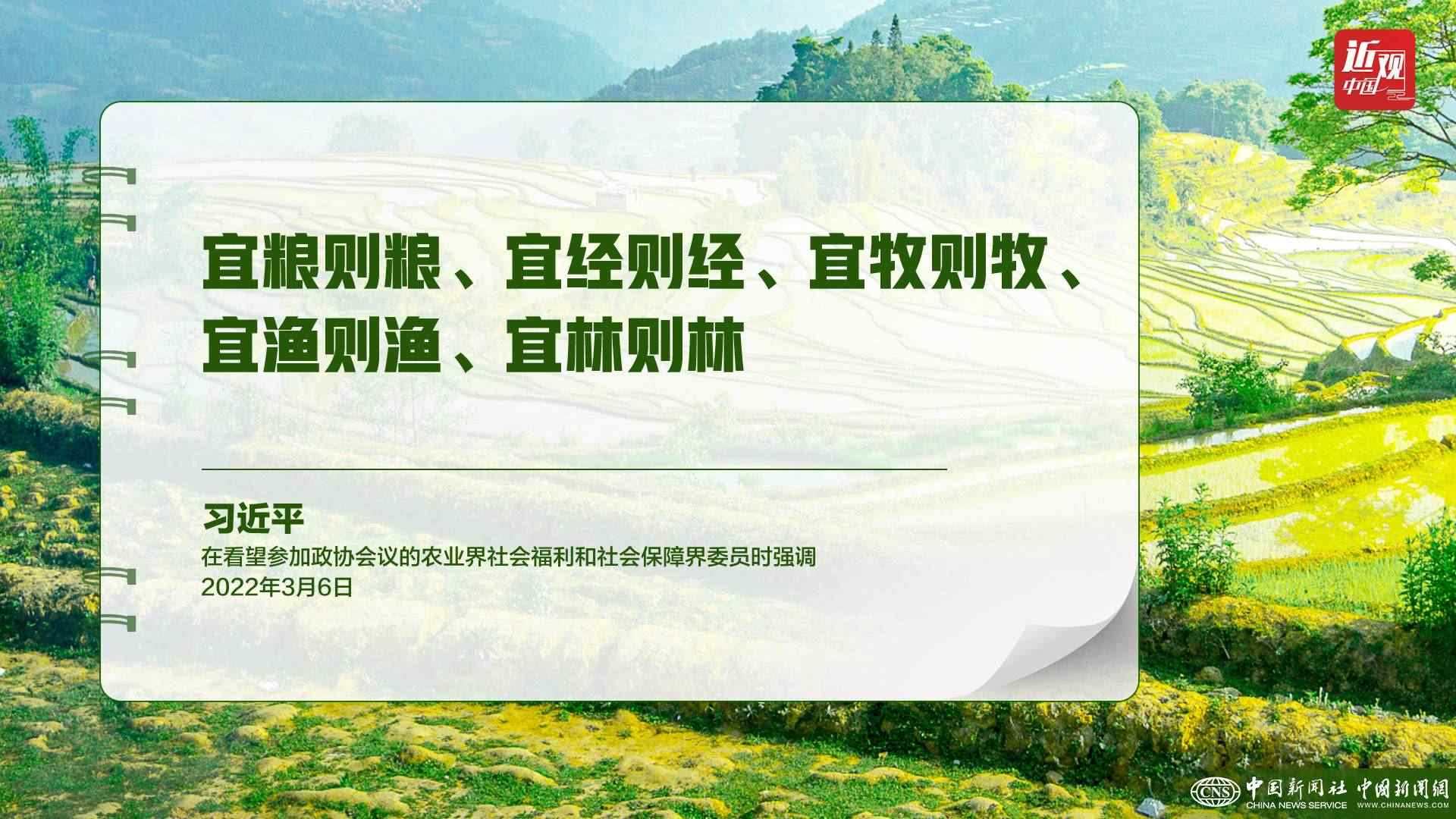 習(xí)近平：樹立大食物觀，構(gòu)建多元化食物供給體系