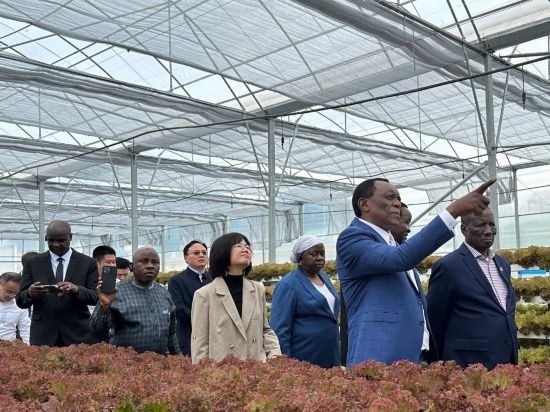 使節(jié)團(tuán)考察貴州省清鎮(zhèn)駱家橋蔬菜保供基地的無土栽培溫室。新華社記者 袁睿 攝