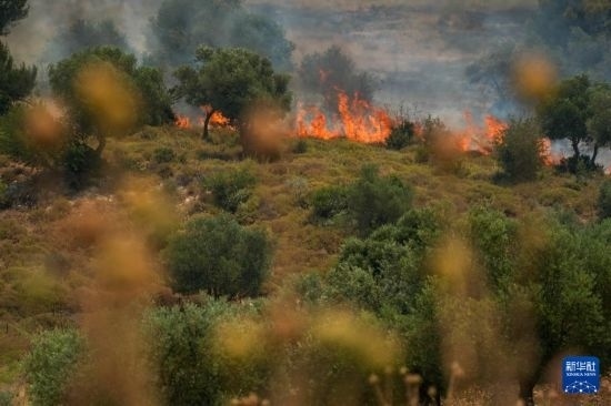 6月12日，以色列北部加利利地區(qū)遭受火箭彈襲擊后冒出滾滾濃煙。新華社發(fā)（阿亞爾·馬戈林?jǐn)z/基尼圖片社）