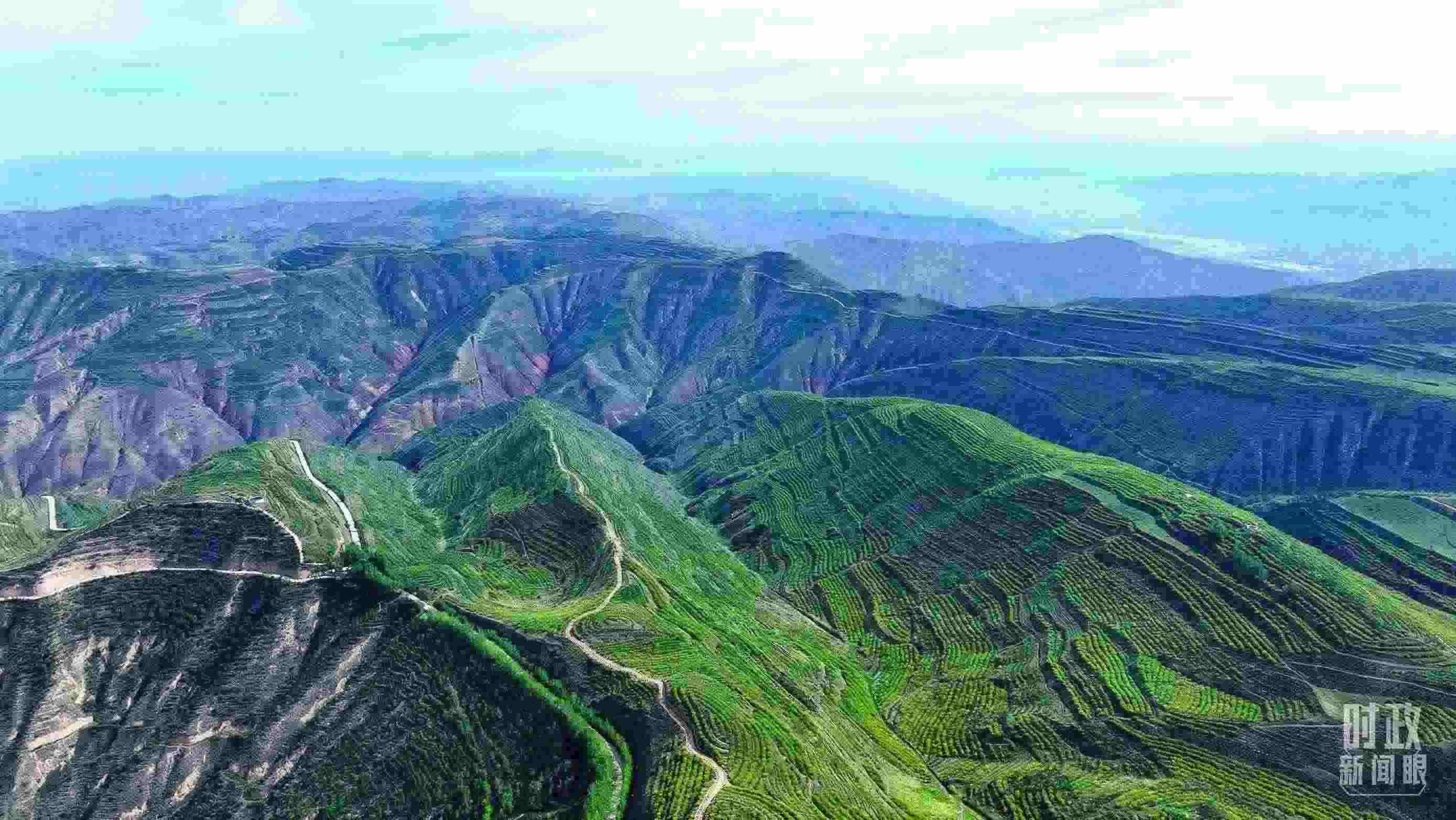 △青海西寧。（總臺(tái)記者柳成拍攝）