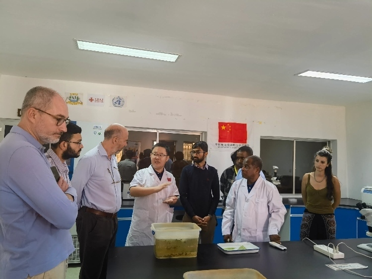 活動現(xiàn)場。專家組供圖