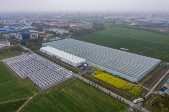 2024年3月28日，空中俯瞰嘉興南湖區(qū)湘家蕩農(nóng)業(yè)數(shù)字化工廠（無人機照片）。該農(nóng)業(yè)數(shù)字化工廠占地總面積約62畝，包含智慧農(nóng)業(yè)生產(chǎn)、物聯(lián)網(wǎng)智能管理、自動分揀包裝、保鮮儲藏物流、高科技示范展示等五大功能區(qū)，可直接或間接培養(yǎng)帶動新型職業(yè)技術農(nóng)民500人以上。新華社記者 徐昱 攝