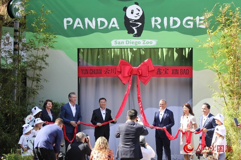 1、中國駐美國大使謝鋒、加州州長紐森、圣迭戈市市長格洛利亞等人共同為“熊貓嶺”開館剪彩。 人民網(wǎng)記者 李志偉攝