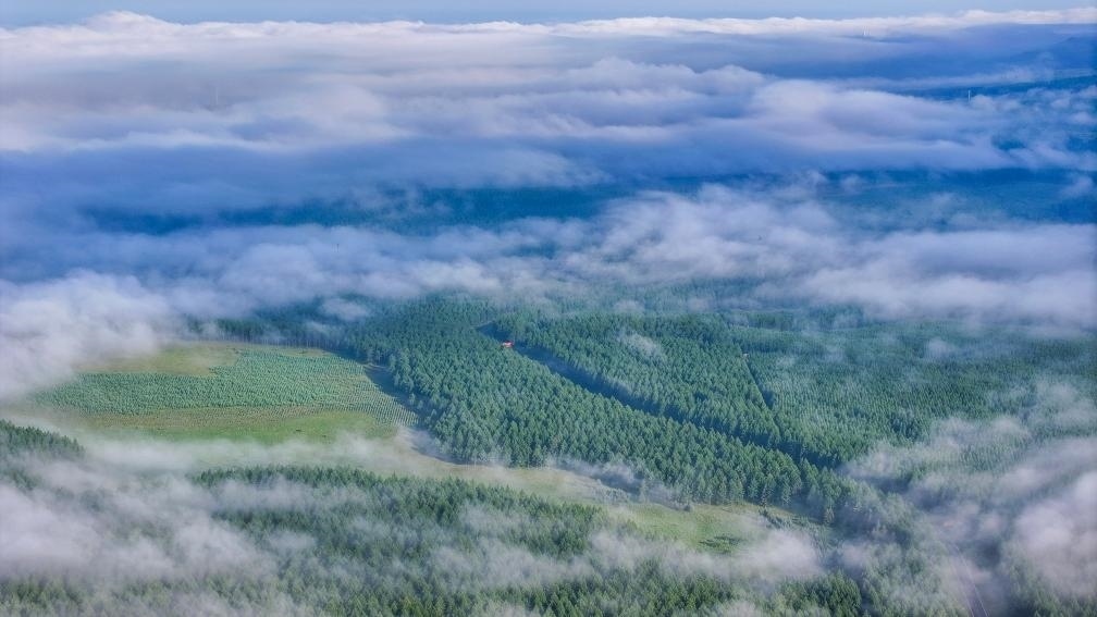 2024年7月26日拍攝的塞罕壩國(guó)家級(jí)自然保護(hù)區(qū)景色。新華社發(fā)（劉滿(mǎn)倉(cāng) 攝）