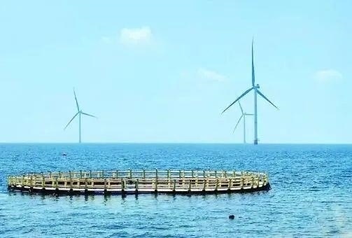 △山東萊州風(fēng)電項目實現(xiàn)了海上風(fēng)電和海洋牧場融合發(fā)展。