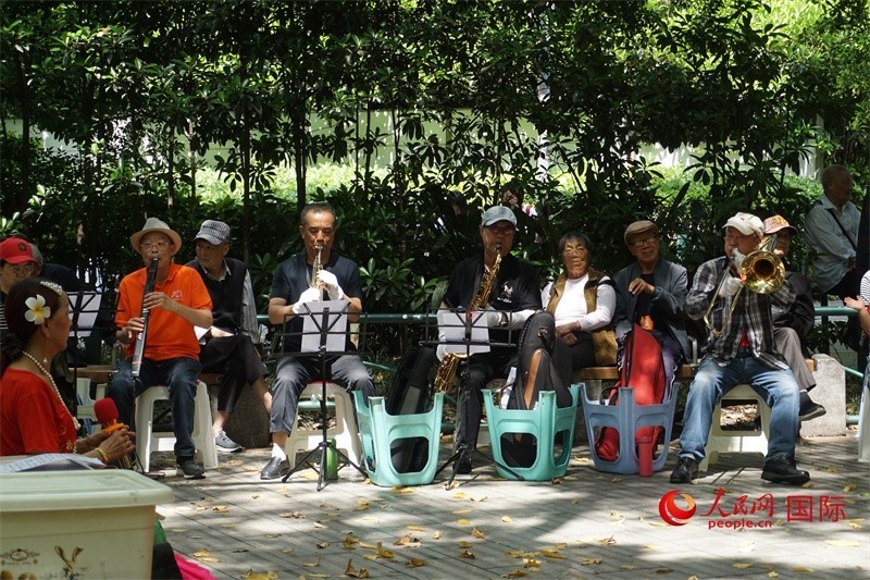 成都居民在公園里演奏歌曲。人民網(wǎng) 王禹蘅攝