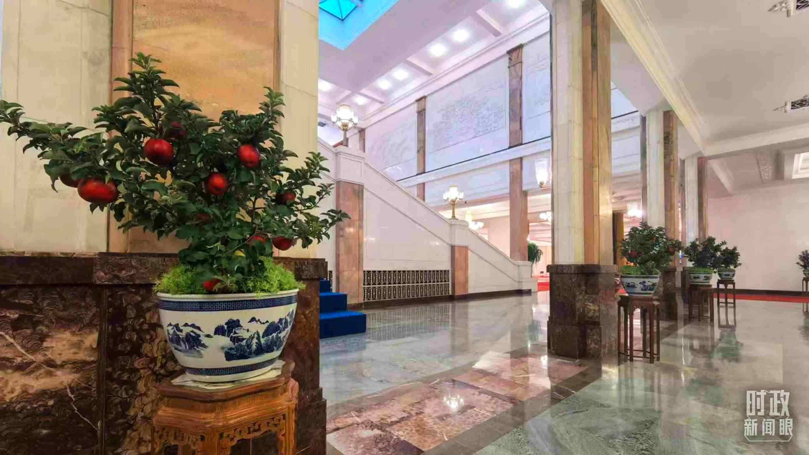  △大會(huì)堂內(nèi)的“碩果累累”盆栽。（總臺(tái)國(guó)廣記者吳倩拍攝）