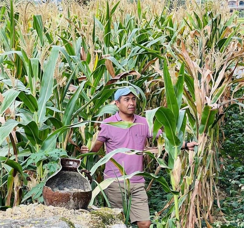 不是攀登石林高臺(tái)，就是鉆入玉米莊稼地，吉爾吉斯斯坦《自由之山報(bào)》總編輯納拉雷·阿桑巴耶夫“身手不凡”，與生長(zhǎng)旺盛的玉米構(gòu)成了花茂村的鄉(xiāng)間野趣。（張亞欣攝）