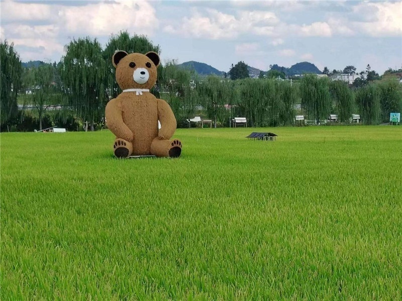 稻穗搖曳，垂柳依依，山嵐多姿，好一幅歲月靜好山鄉(xiāng)恬靜圖。這憨厚俏皮的熊玩偶造型，像是亂入其中，形成現(xiàn)代與傳統(tǒng)、好動(dòng)與寧?kù)o的反差感，讓人過(guò)目不忘，也讓人莞爾一笑。（哈薩克斯坦鳳凰24新聞社總編輯兼首席執(zhí)行官克馬爾·馬山羅攝）