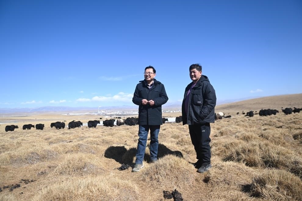 2023年2月24日，在青海省海北藏族自治州海晏縣青海湖鄉(xiāng)達(dá)玉日秀村，全國(guó)人大代表董全民（左）查看牧民東知布家的草場(chǎng)。新華社記者 張龍 攝