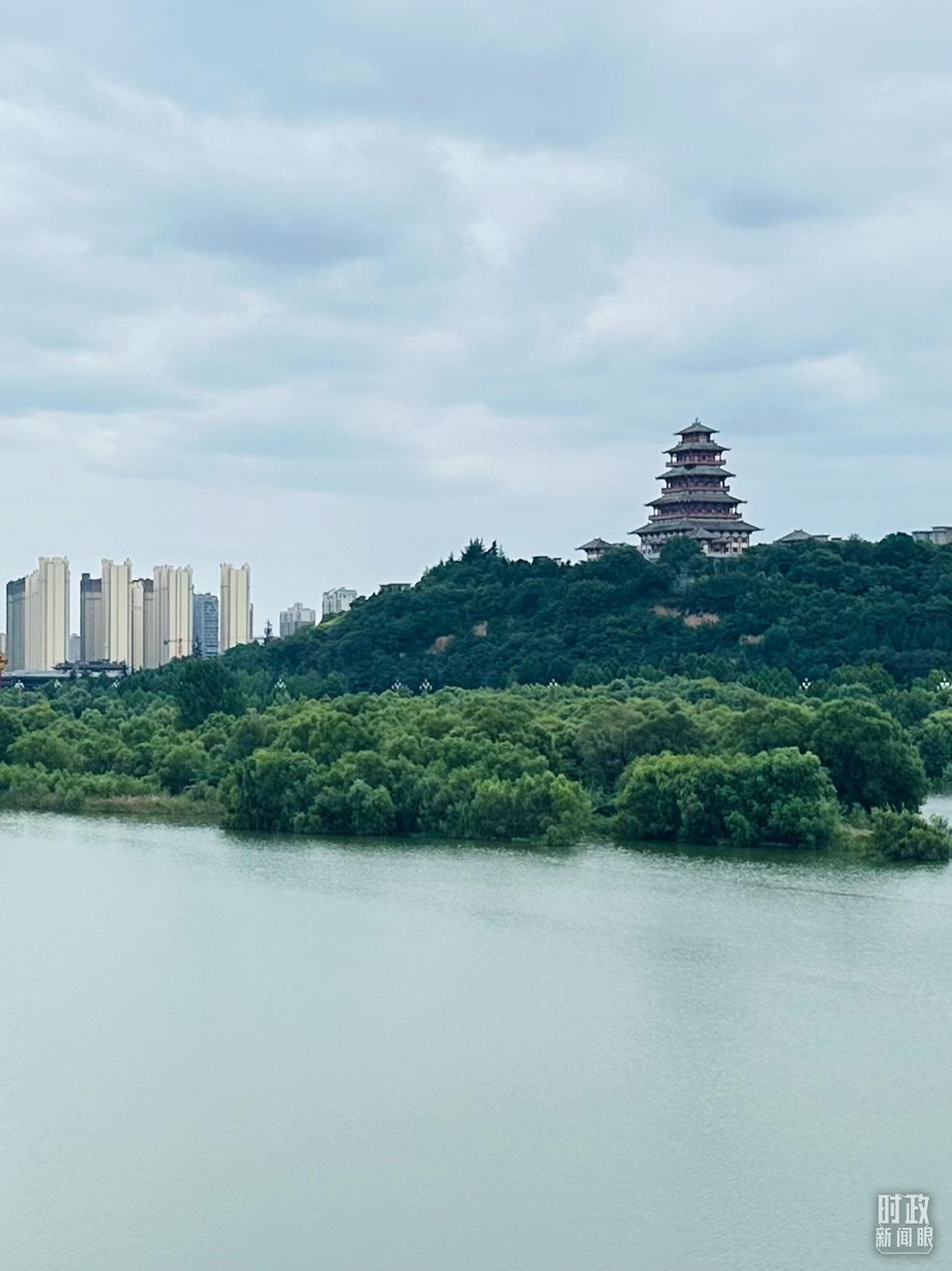 △渭河寶雞段長224公里，目前建成17處渭河灘區(qū)生態(tài)涵養(yǎng)區(qū)。（總臺央視記者范一鳴拍攝）