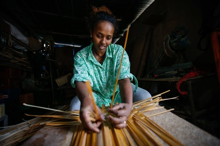 2024年8月10日，菲基爾特·加布雷在埃塞俄比亞首都亞的斯亞貝巴名為“綠色金子”的竹藤工作室里加工竹制產(chǎn)品。新華社發(fā)（邁克爾·特韋爾德 攝）