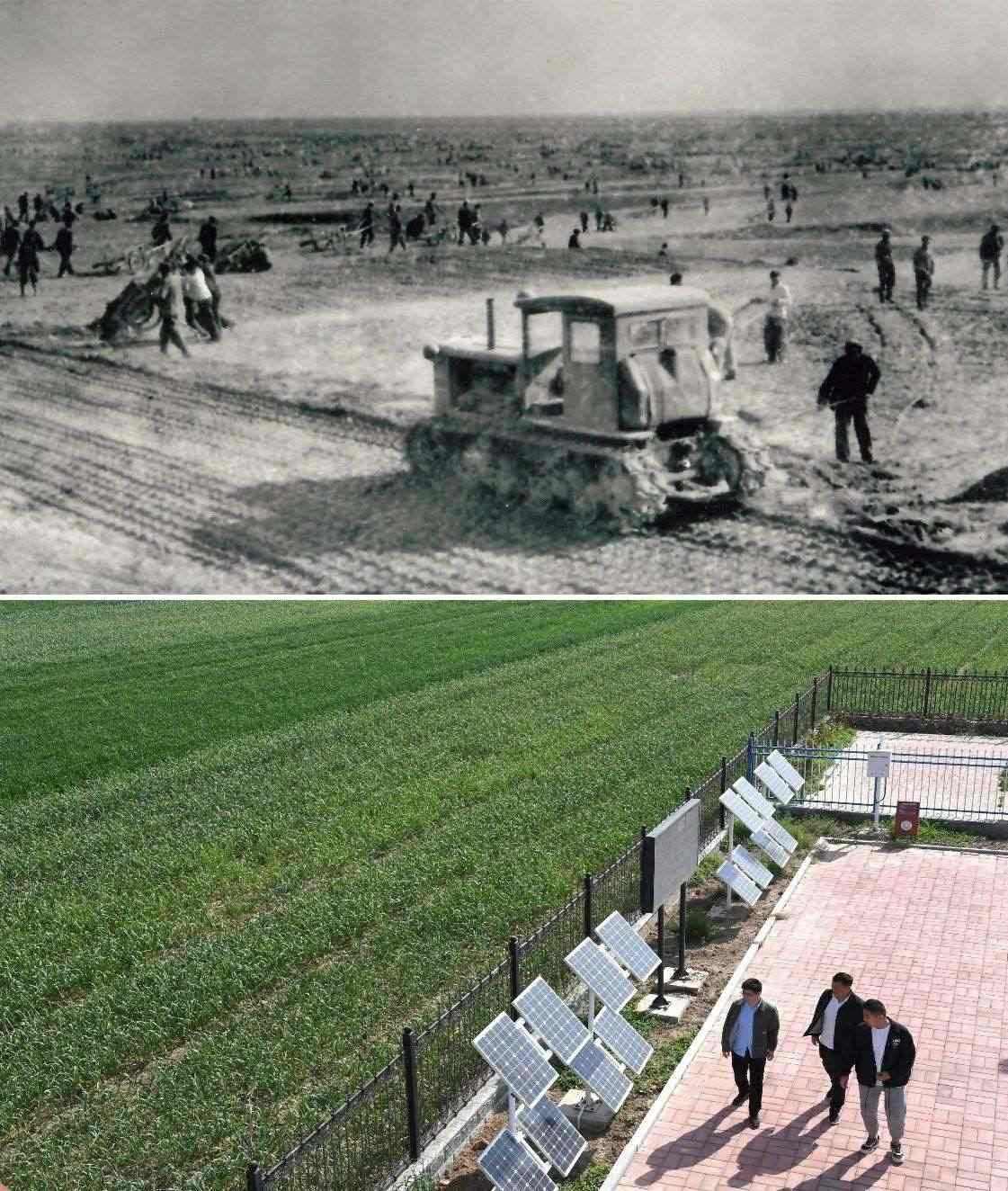 上圖為二十世紀六十年代蘭考改造鹽堿地的情景（資料照片）；下圖為2024年4月18日拍攝的蘭考縣紅廟鎮(zhèn)高標準農田示范區(qū)。（新華社記者 朱祥 攝）
