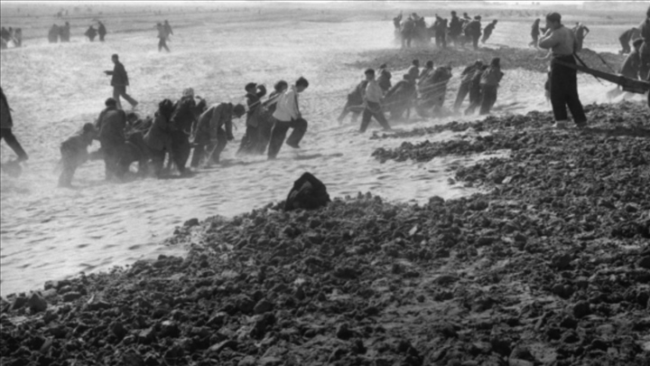 蘭考群眾在拉淤土壓沙。（新華社記者 鄧歷耕 攝）