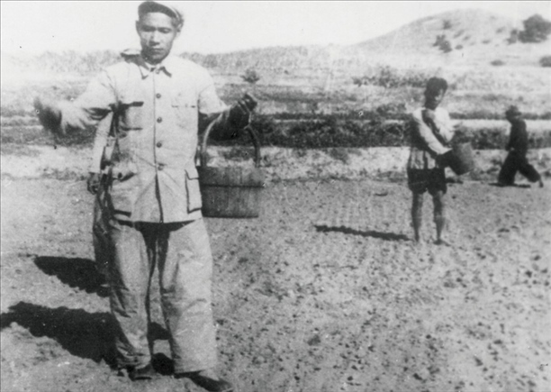 △ 谷文昌在福建省東山縣坑北村參加播種。