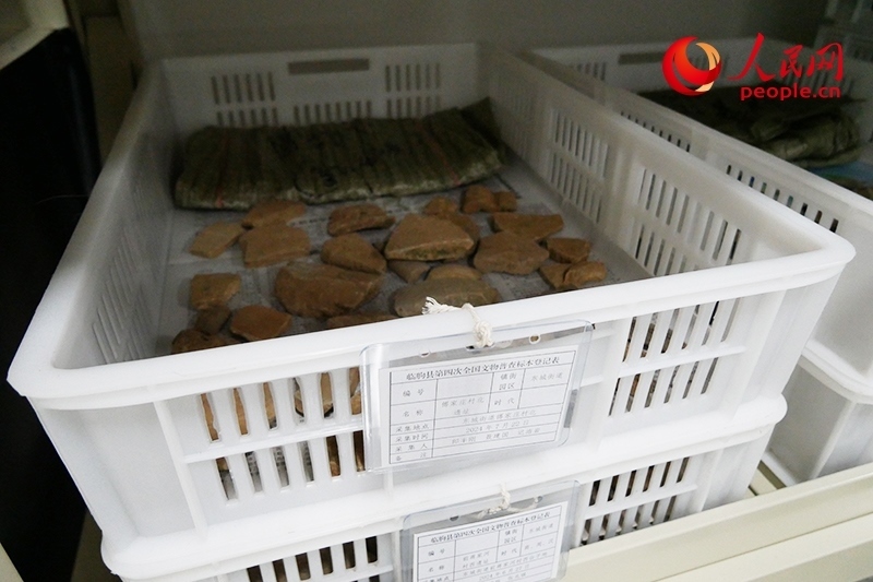 已經(jīng)整理完畢的文物標(biāo)本。人民網(wǎng)記者 韋衍行攝