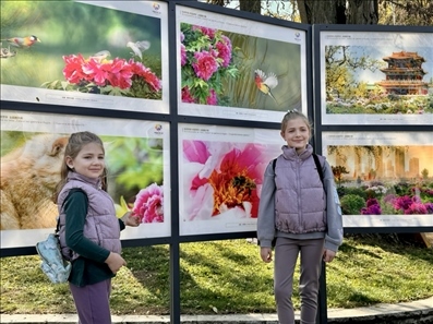 活動現(xiàn)場。中國駐保加利亞大使館供圖。