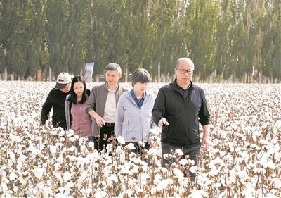李召虎團(tuán)隊(duì)成員在棉田了解試驗(yàn)情況。 受訪單位供圖