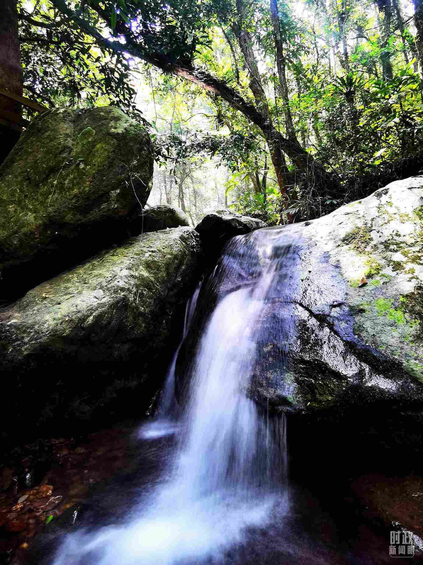 海南五指山。（總臺央視記者劉琦拍攝）