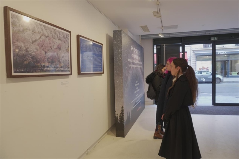 法國(guó)觀(guān)眾現(xiàn)場(chǎng)觀(guān)展（主辦方供圖）