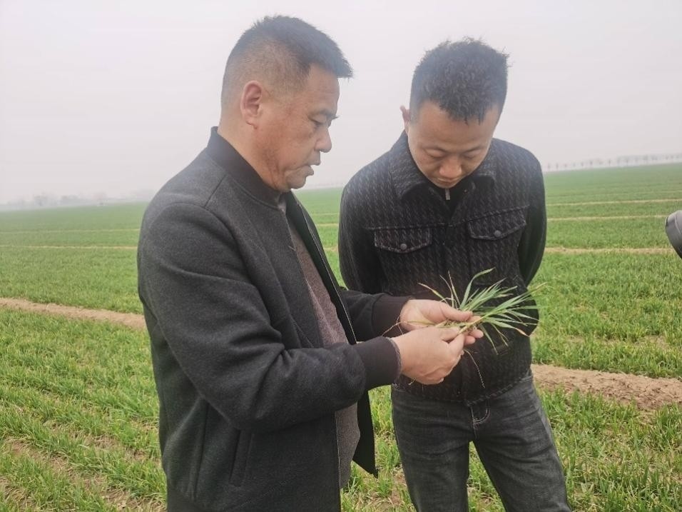 在山東濟(jì)寧汶上縣苑莊鎮(zhèn)，農(nóng)技員黃海龍對(duì)種糧大戶王振現(xiàn)場(chǎng)進(jìn)行春耕指導(dǎo)。人民網(wǎng)記者 車柯蒙攝