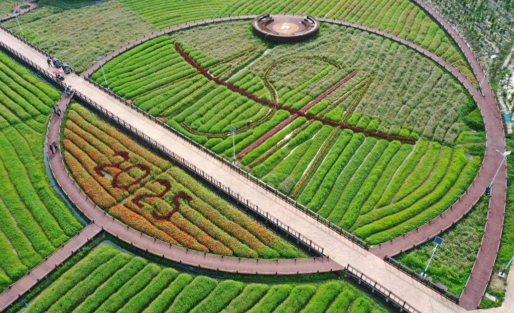 這是3月21日拍攝的瓊海博鰲南強(qiáng)村景色（無(wú)人機(jī)照片）。新華社記者 郭程 攝