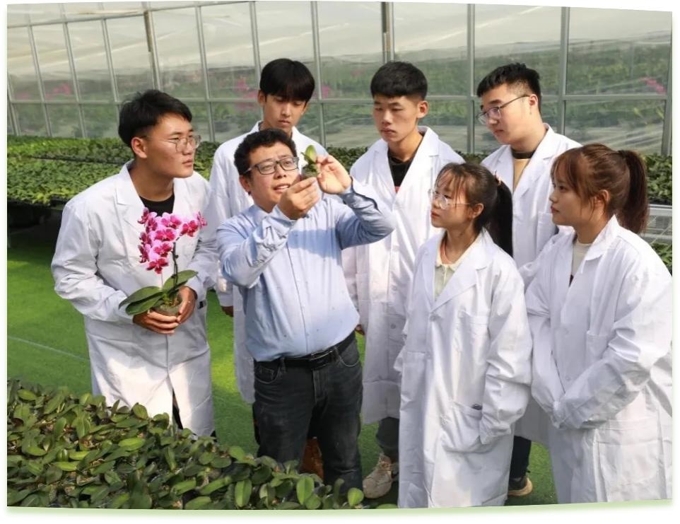 濰坊工程職業(yè)學(xué)院科技創(chuàng)新團隊為花卉行業(yè)從業(yè)者作蝴蝶蘭雜交選育技術(shù)指導(dǎo)。學(xué)校供圖