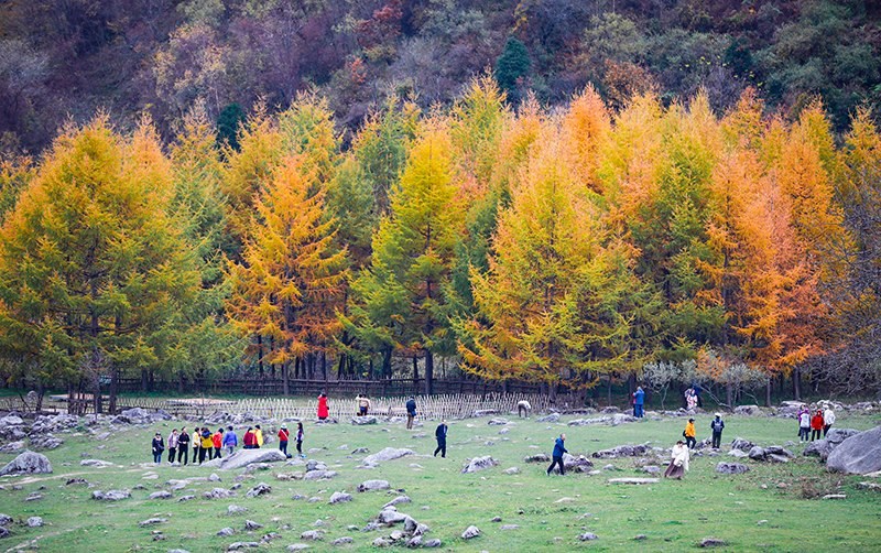 2023年10月27日，深秋時節(jié)的陜西秦嶺太子嶺五彩斑斕，進入最佳觀賞期。