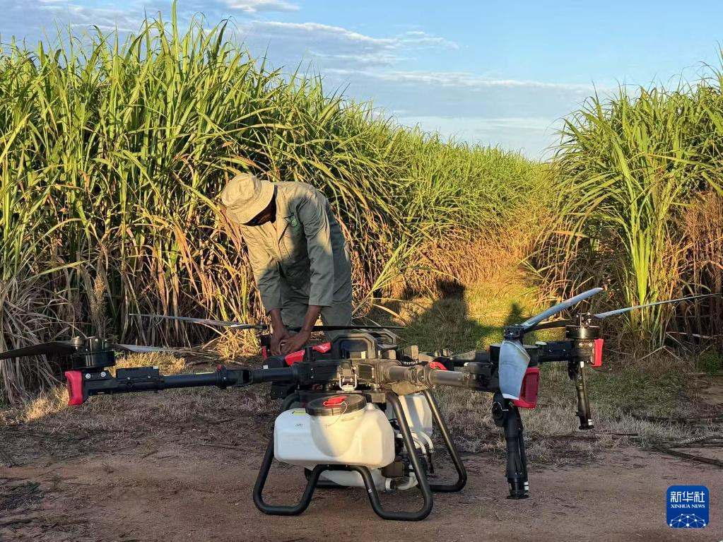3月25日，在南非夸祖魯-納塔爾省的方廷希爾莊園，工作人員為無人機(jī)做起飛作業(yè)前的準(zhǔn)備。新華社記者 白舸 攝