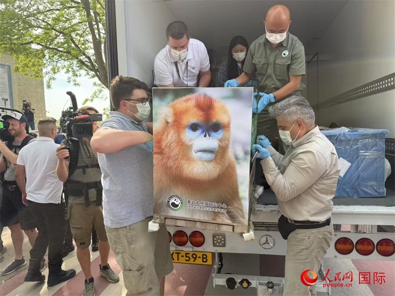 圖為活動現(xiàn)場。人民網(wǎng)記者 牛瑞飛攝