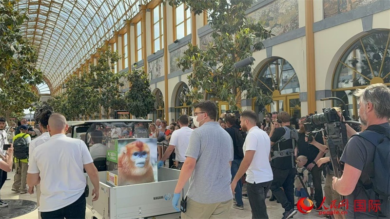 圖為活動現(xiàn)場。人民網(wǎng)記者 牛瑞飛攝